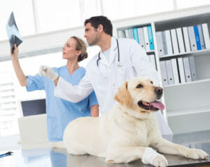 List of Animal Care Conferences and Events - Job Seekers Blog - JobStars USA