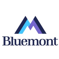 Bluemont Associates logo Bluemont Associates logo