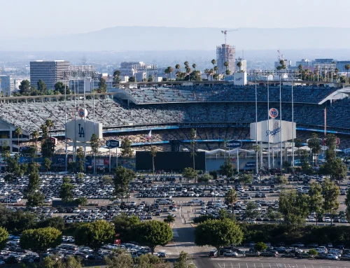 Protected: 5 Best Master’s in Sports Management Programs in California